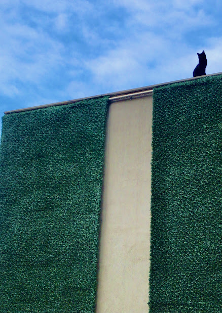 956465CF 7CCF 4565 95DB DA8BE97E620D